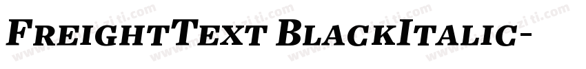 FreightText BlackItalic字体转换